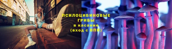 молекула духа Алексеевка