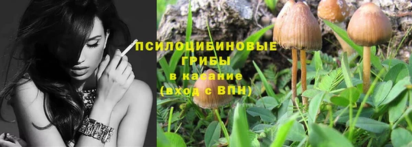 трава Абаза