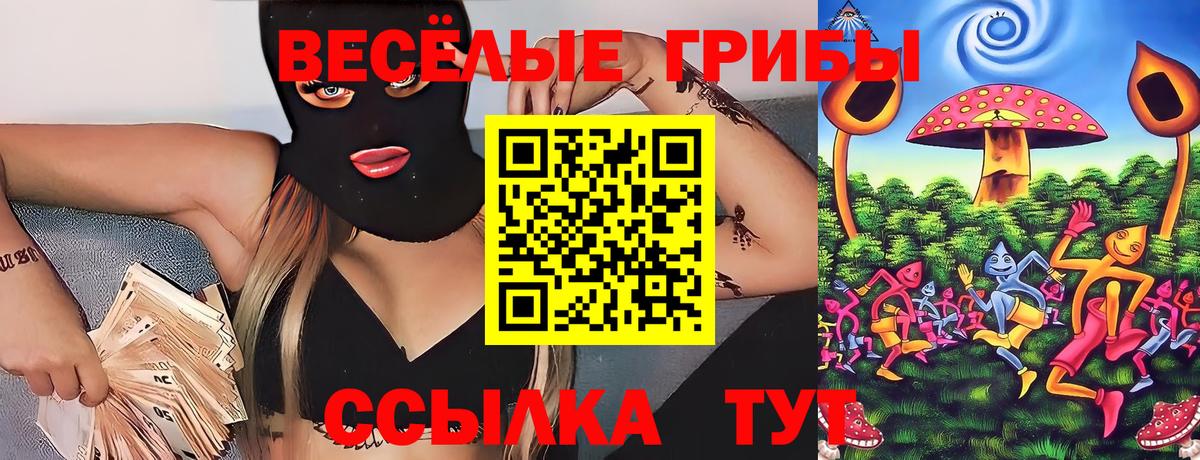 Галлюциногенные грибы MAGIC MUSHROOMS  Вход с VPN  Псилоцибиновые грибы Psilocybe  Дзержинск 